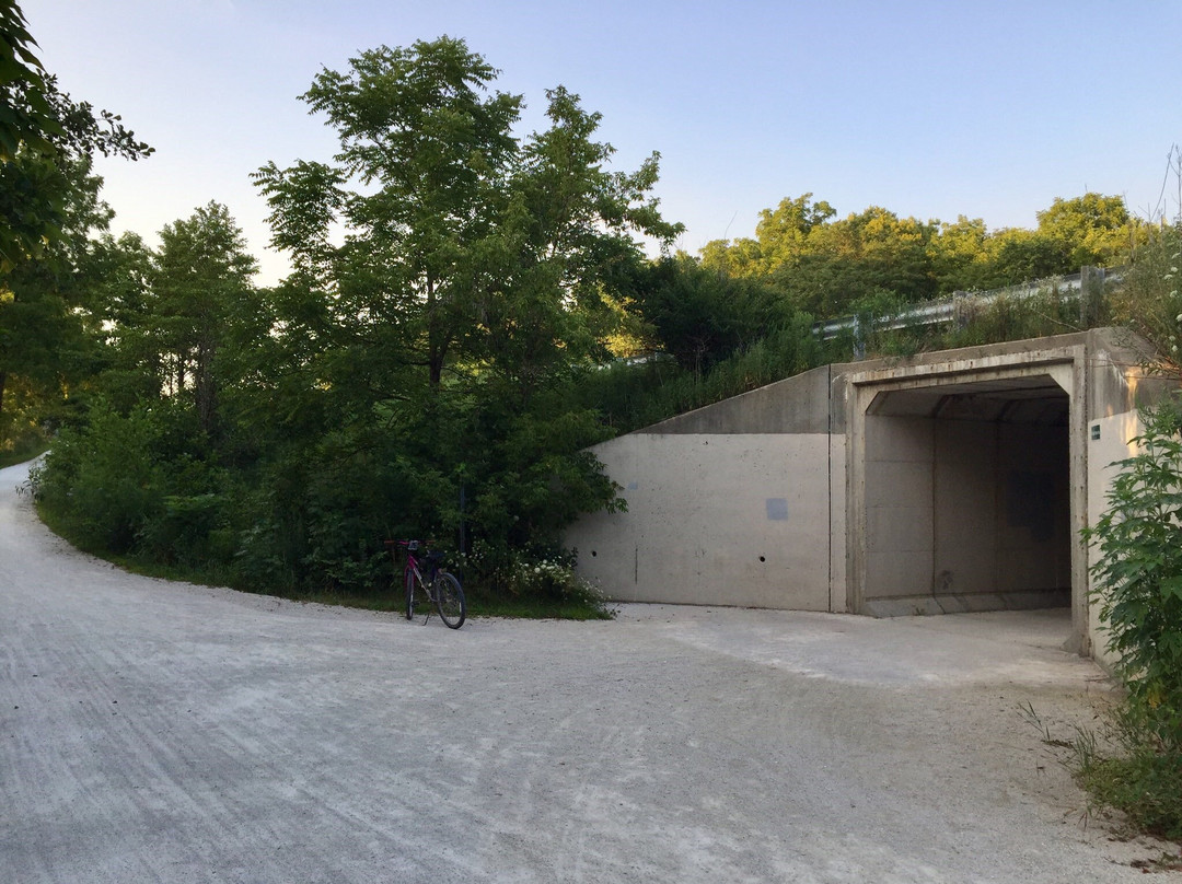 Springbrook Prairie Forest Preserve-内珀维尔必去景点