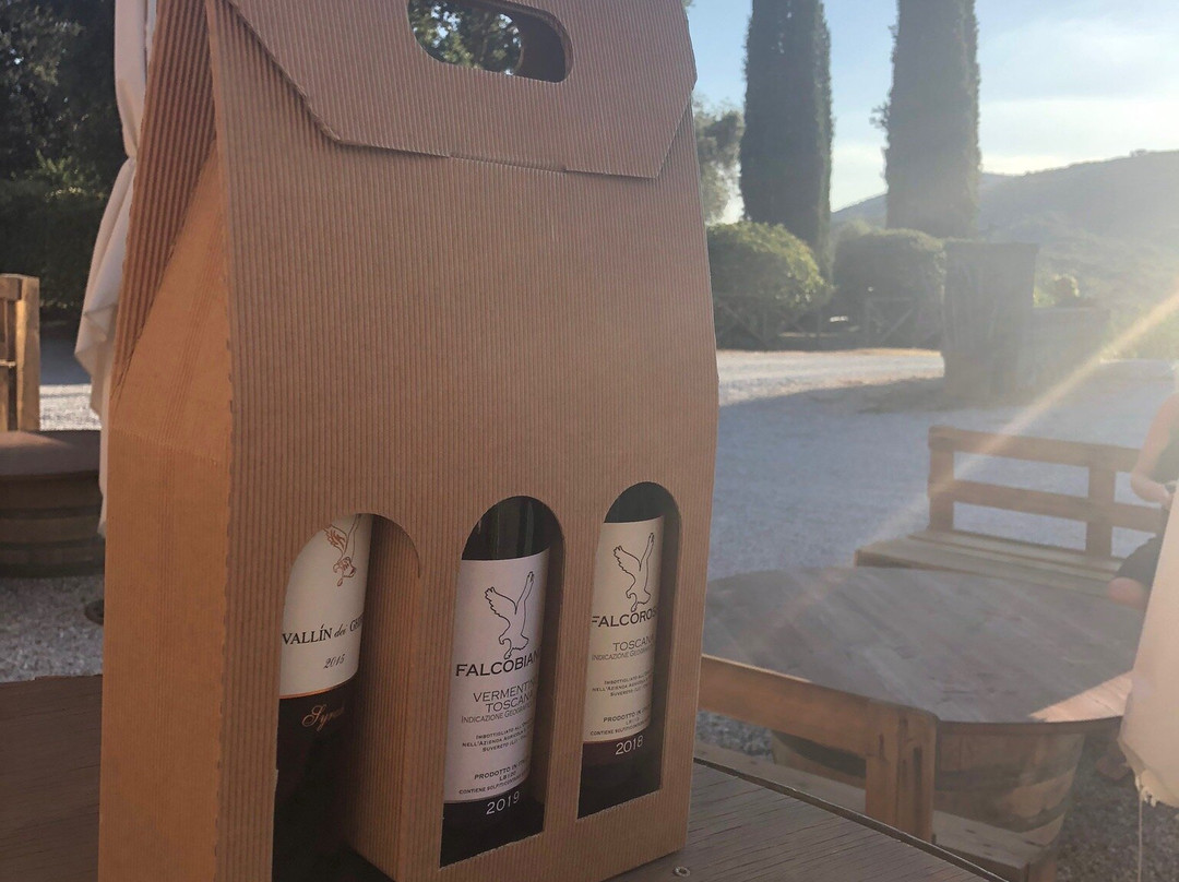Agriturismo Il Falcone主图