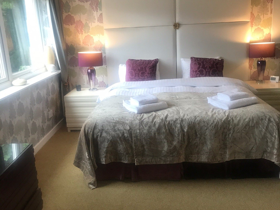 Tir y Coed Country House主图