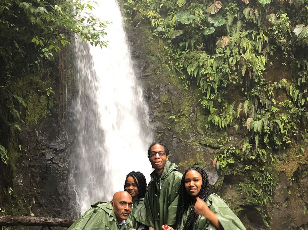 Costa Rica Waterfall Tours景点图片
