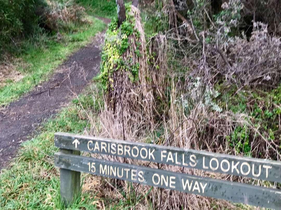 Carisbrook Waterfall-Wongarra必去景点
