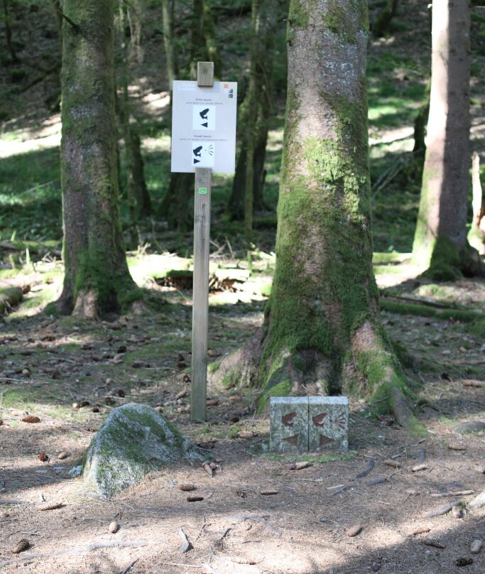 Confluence de la Cure et du Caillot