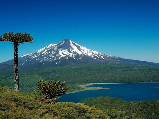 Tangol Tours Pucon-普孔必去景点