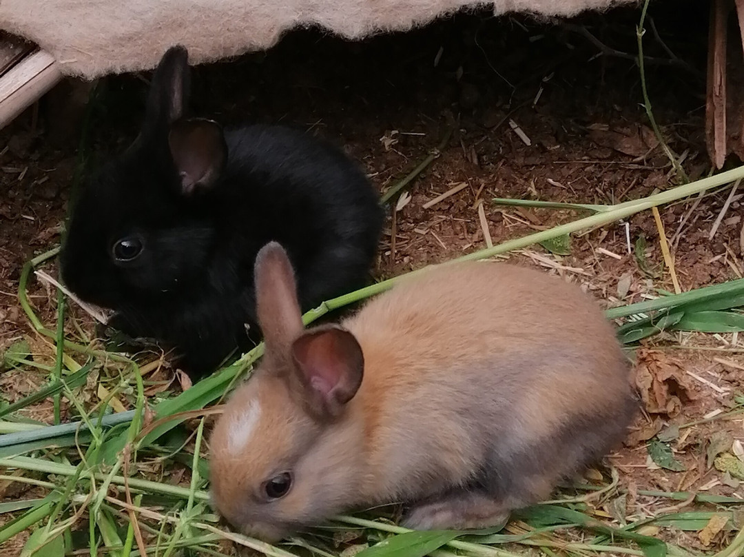 Citamarroc-巴塞罗那必去景点