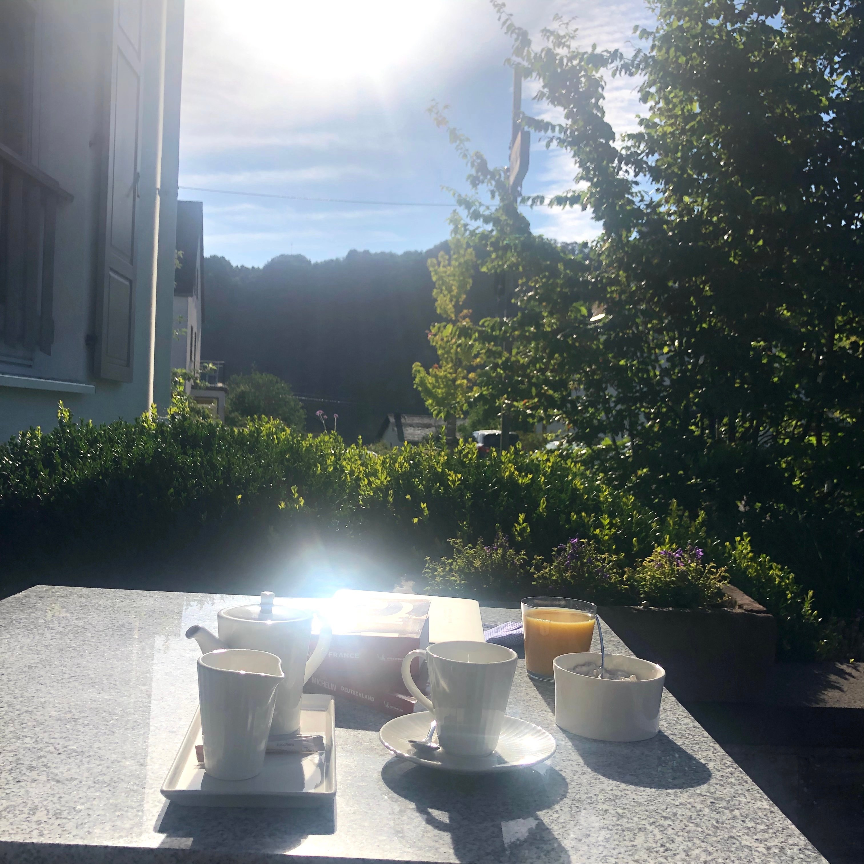 Schanz. Hotel-餐饮