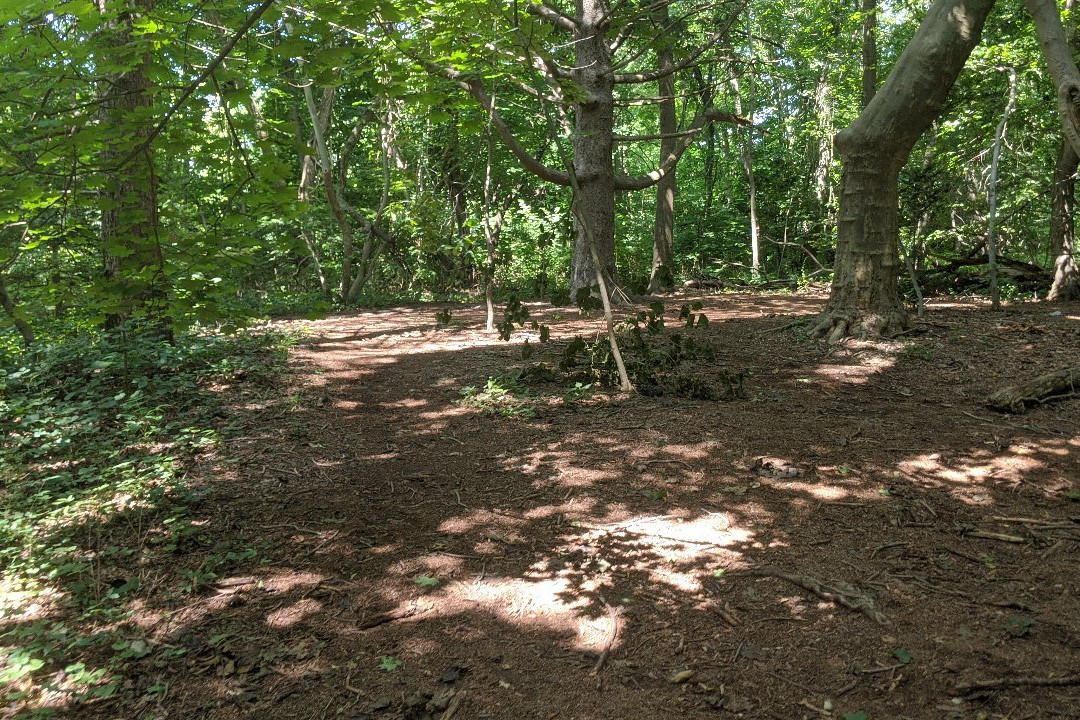 Trail View State Park-伍德伯里必去景点