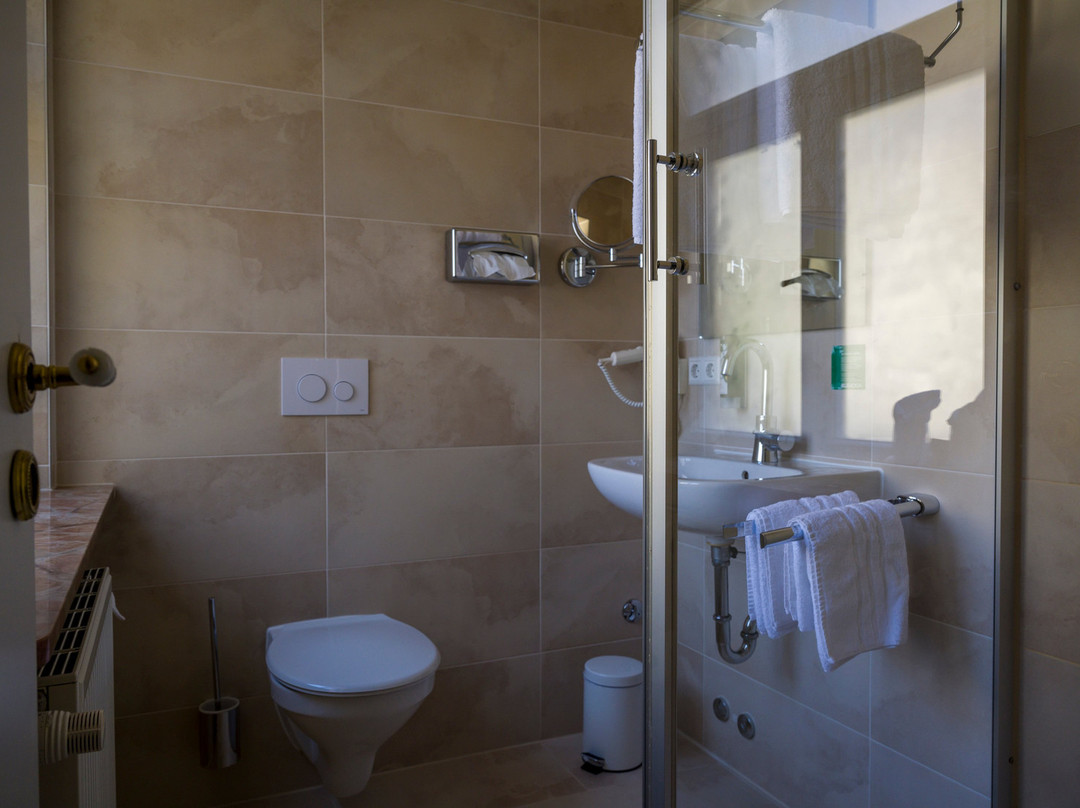 Boutique Hotel Friesinger主图