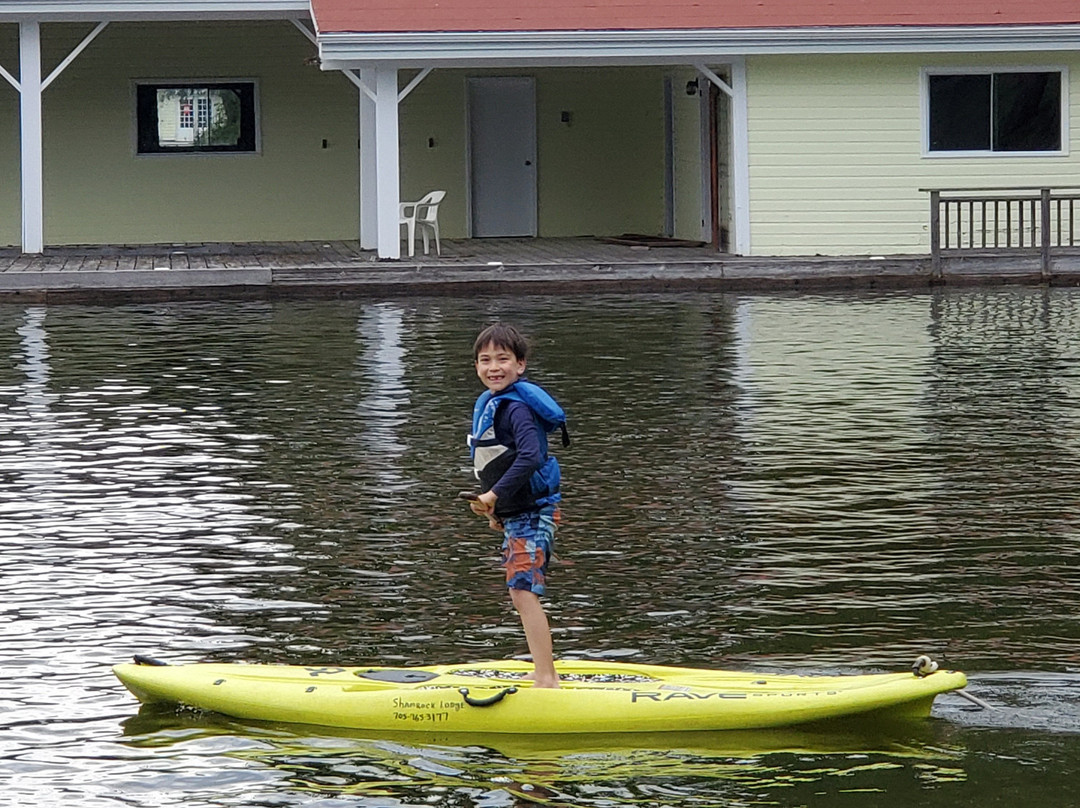 Shamrock Lodge主图