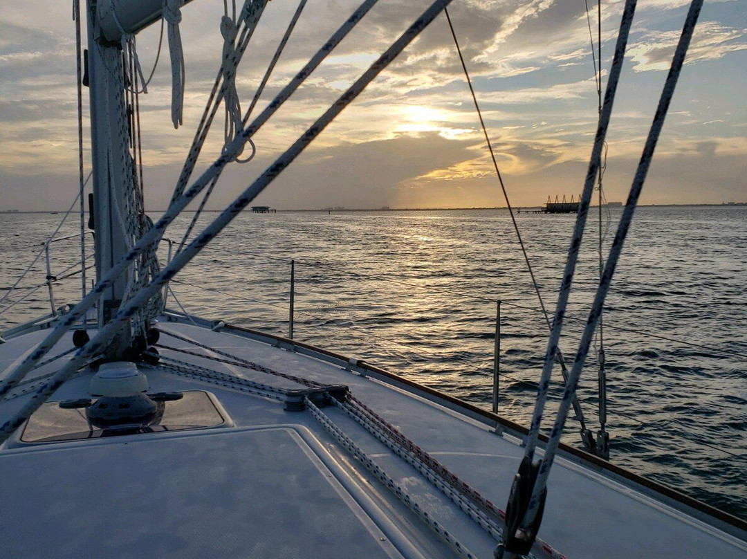 Sailing Adventures Miami景点图片