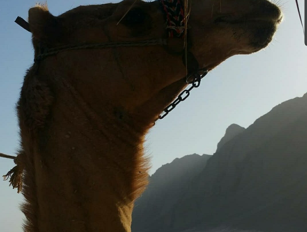 Three Pools-达哈卜必去景点