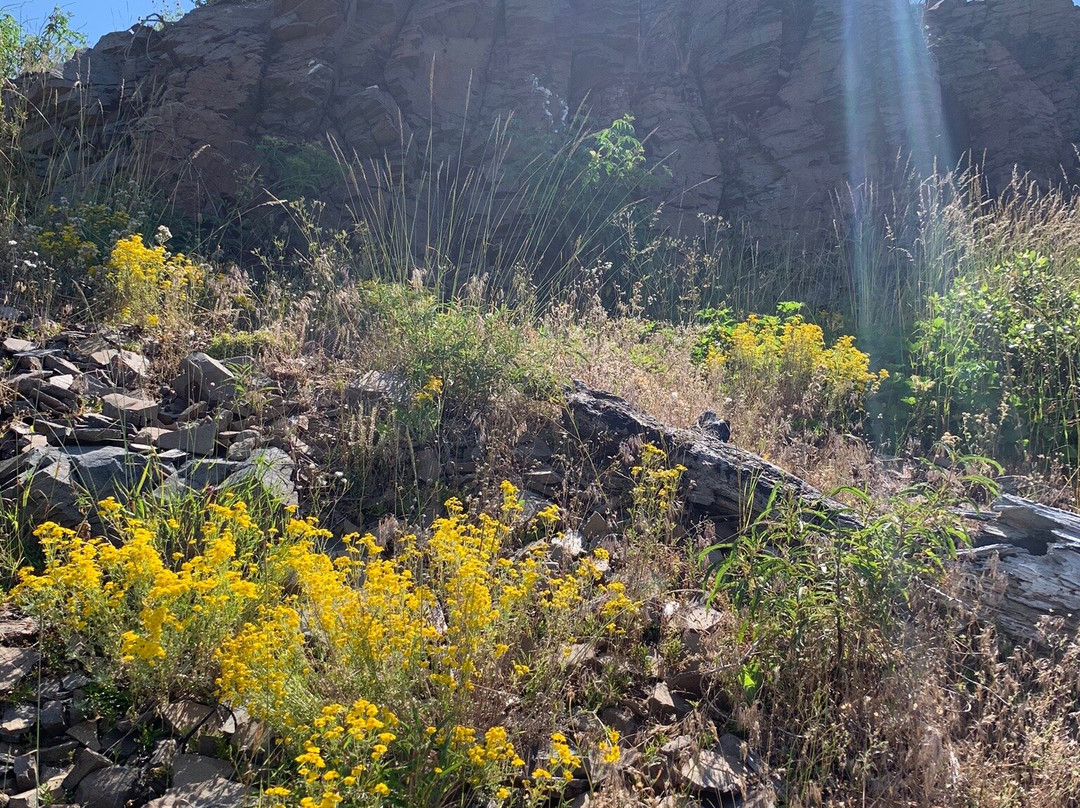 Grizzly Peak Trail-阿什兰必去景点