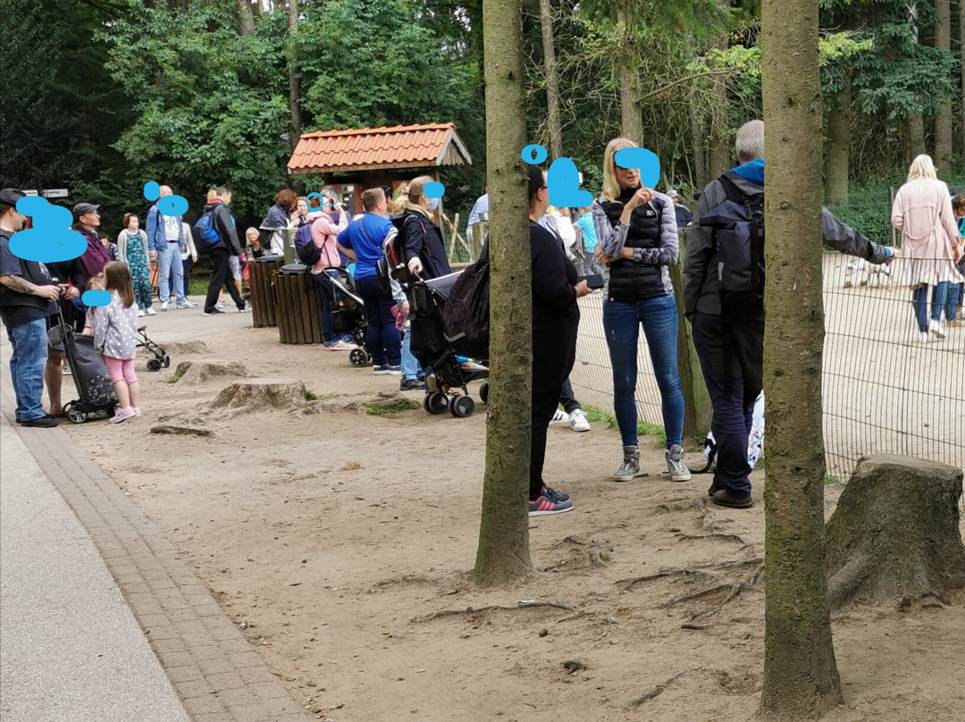 Wildpark Schwarze Berge-罗森加滕必去景点