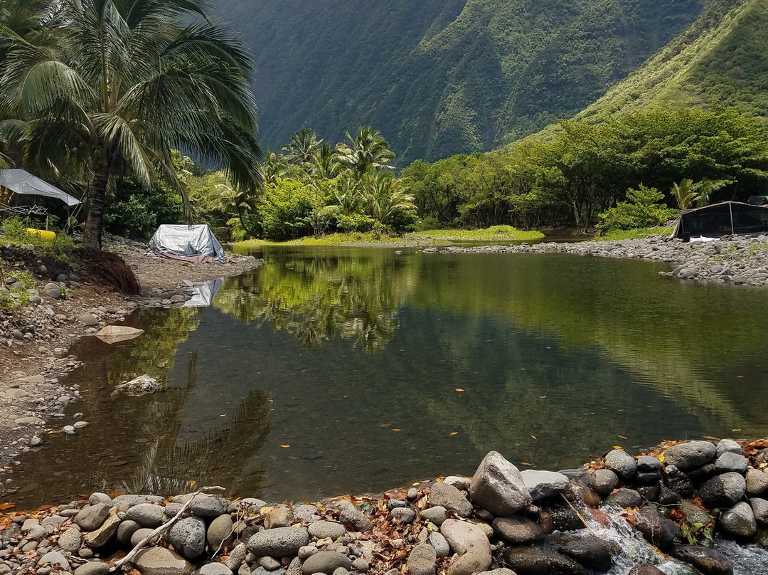 Wailau Valley-摩洛凯岛必去景点