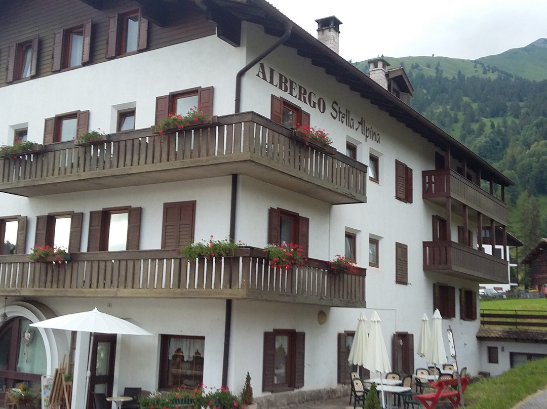 Hotel Stella Alpina主图