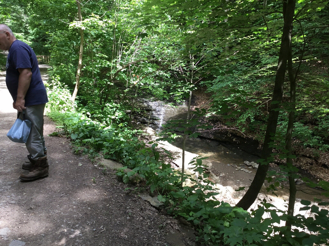 Fall Run Park - Lower Entrance-Glenshaw必去景点