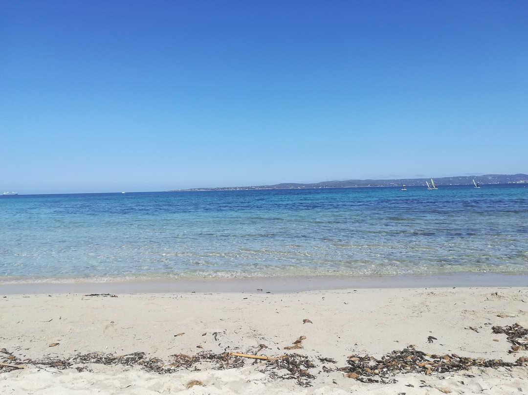 Spiaggia Grande-Calasetta必去景点