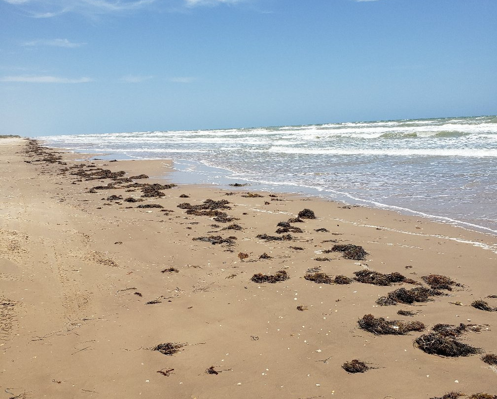 Andy Bowie Park-南帕诸岛必去景点