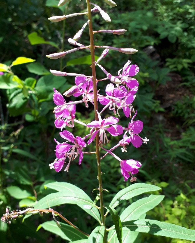 Falcon Lake-Falcon Lake必去景点