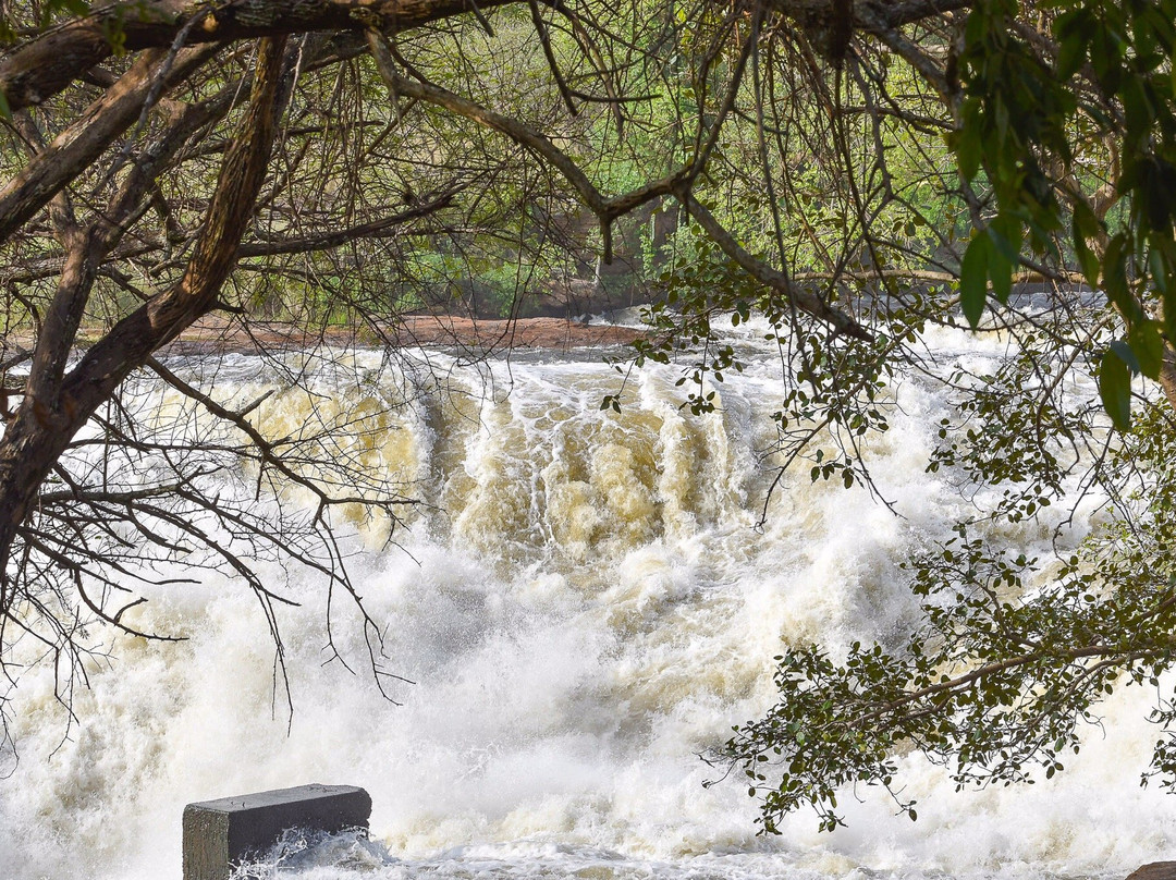 Wild Experience Africa-Wakiso必去景点