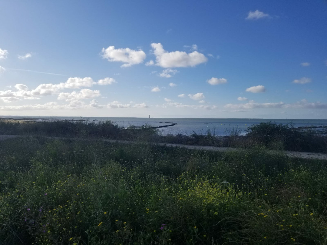 Relais Thalasso Spa-Sainte Marie de Re必去景点