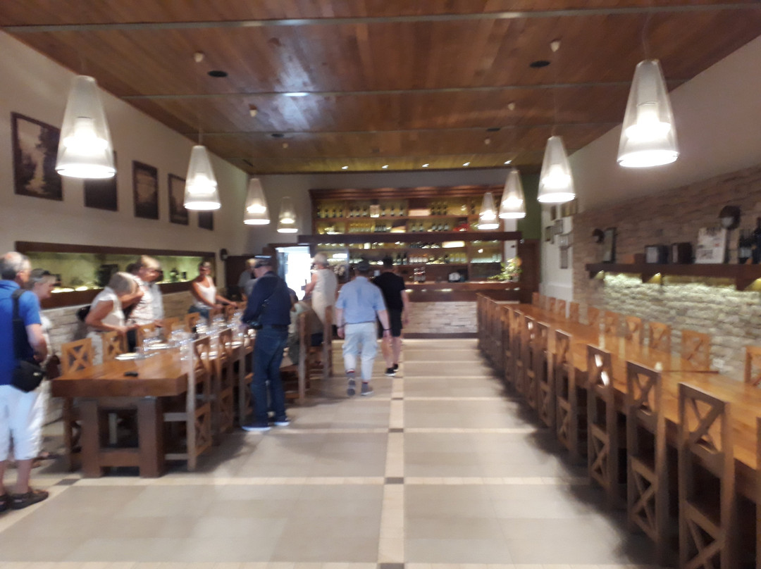 Agrolaguna-波雷奇必去景点