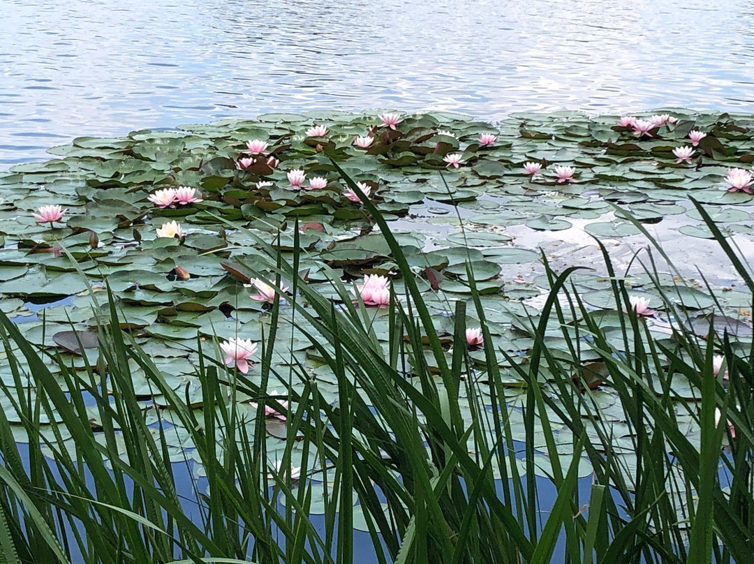Worlitzer Park-Wörlitz必去景点