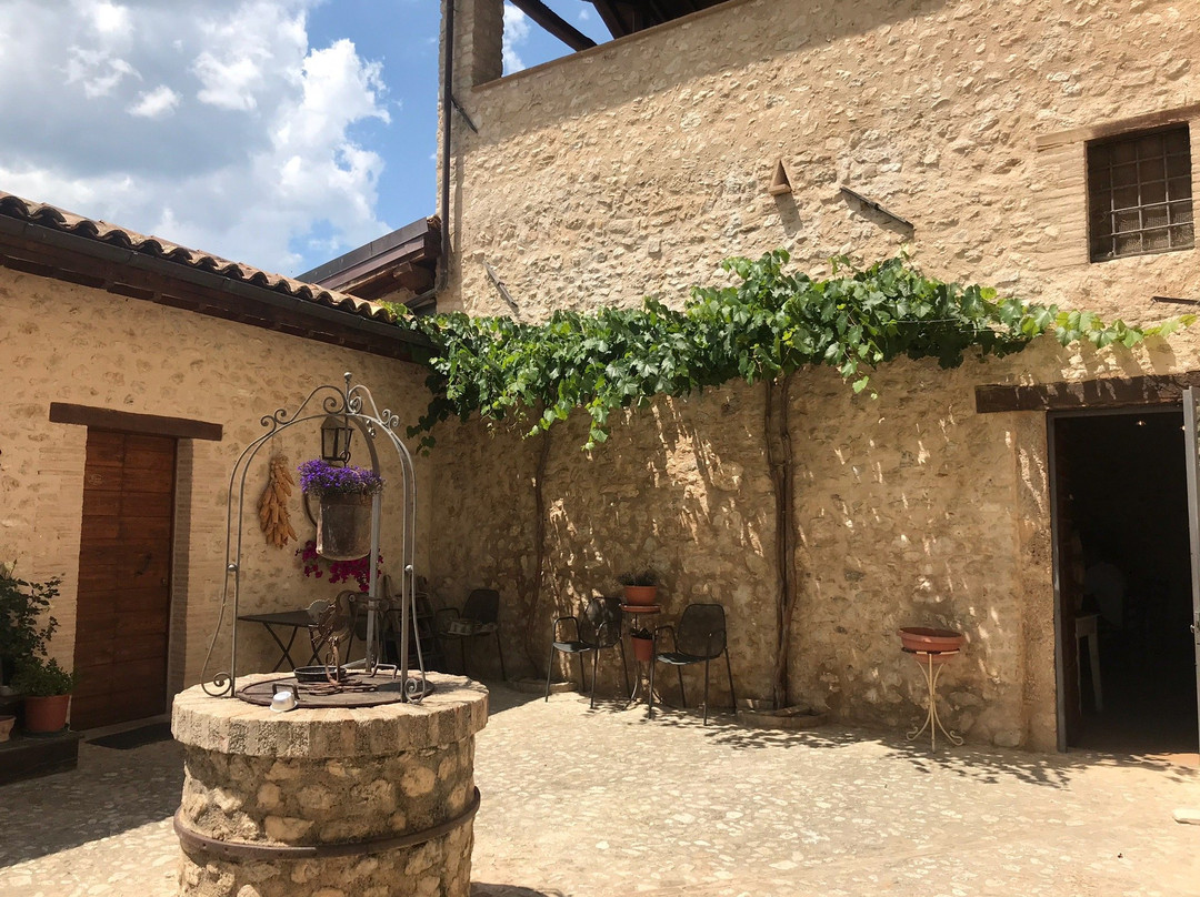 Il Casale degli Amici主图