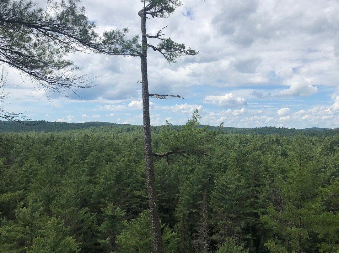 Two Rivers Trail-阿冈昆公园必去景点