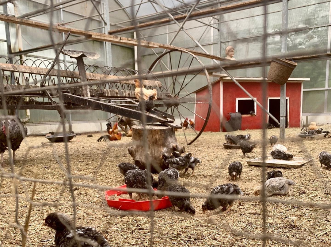 The Saskatoon Berry Farm-De Winton必去景点
