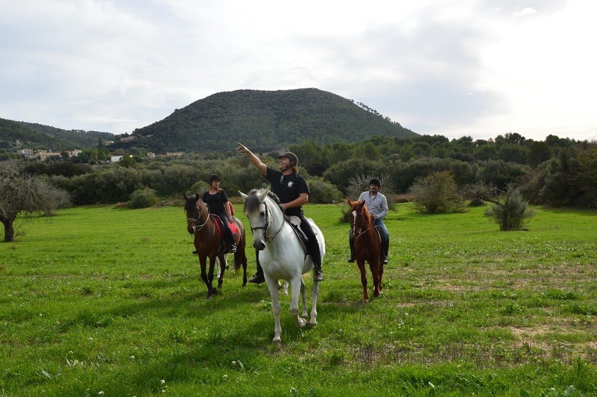 Mallorca Horses景点图片