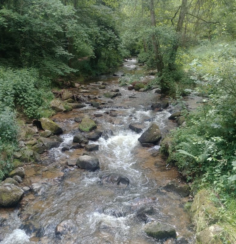 Sentier des Gorges de Bilhard景点图片