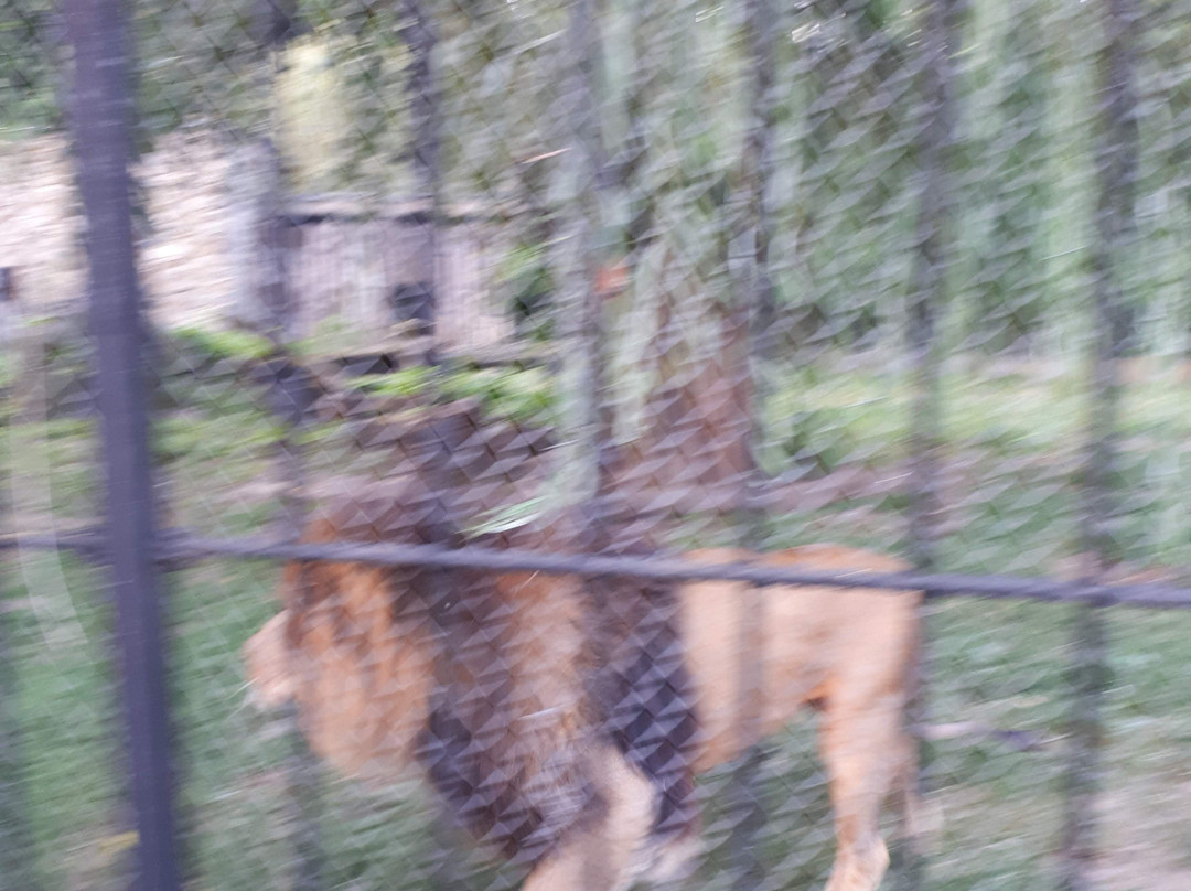 Osijek Zoo-奥西耶克必去景点