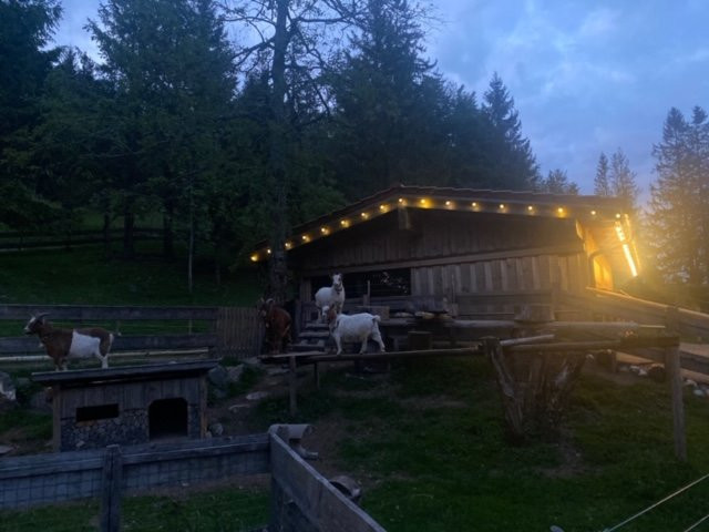 Oberjoch - Familux Resort主图