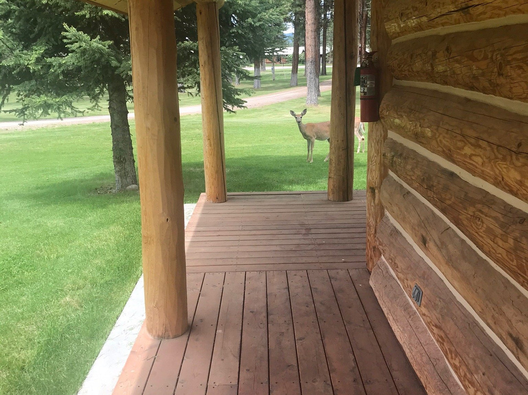 Double Arrow Resort主图