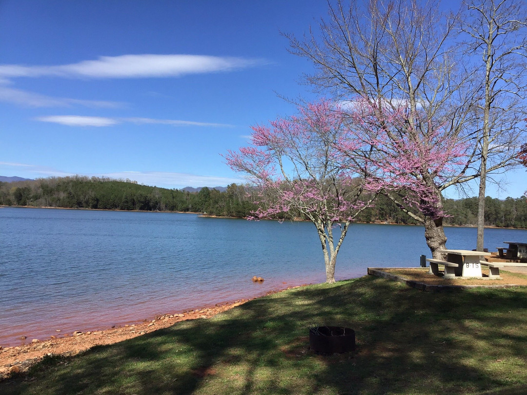 Georgia Mountain Fairgrounds-Hiawassee必去景点