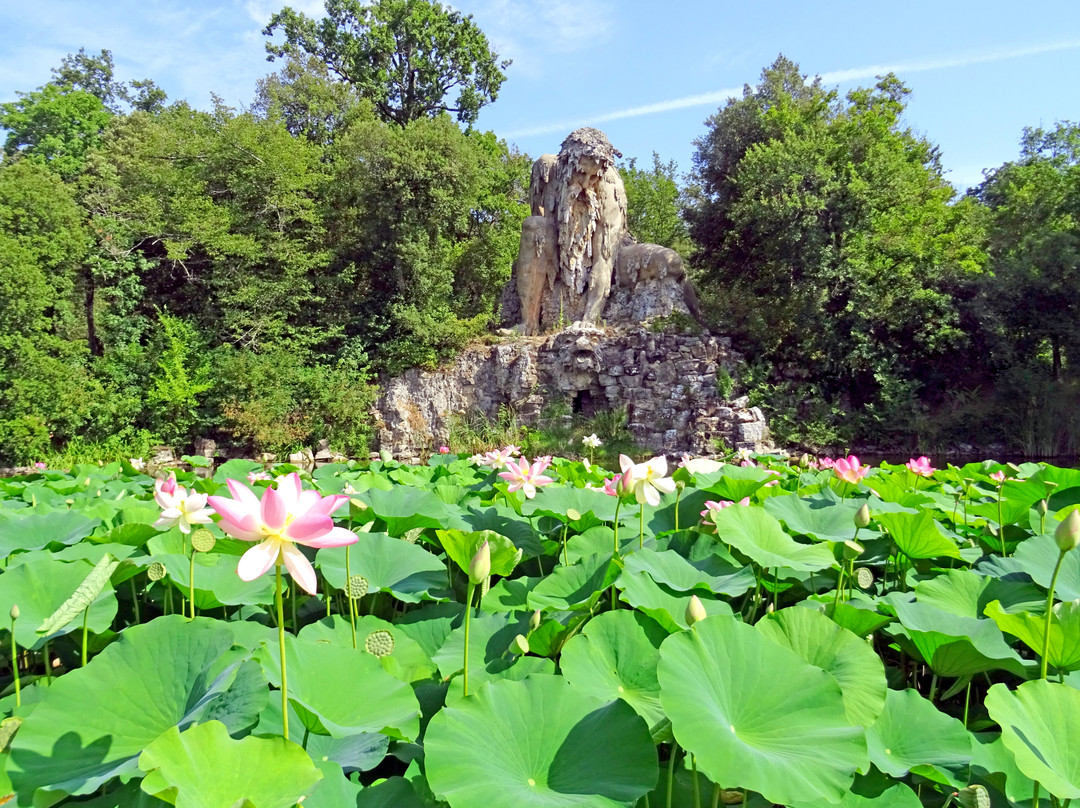 Parco Mediceo di Pratolino (Villa Demidoff)景点图片