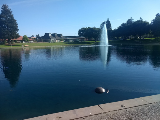 Sunnyvale Community Center Park-森尼韦尔必去景点