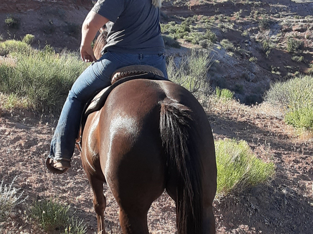 Shelleys Custom Horse Tours-Virgin必去景点