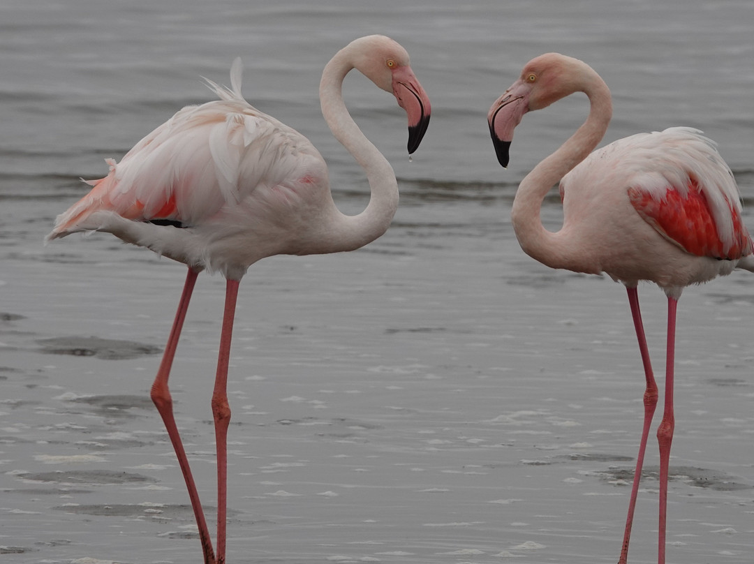 Long Beach Leisure Park-华维斯湾必去景点