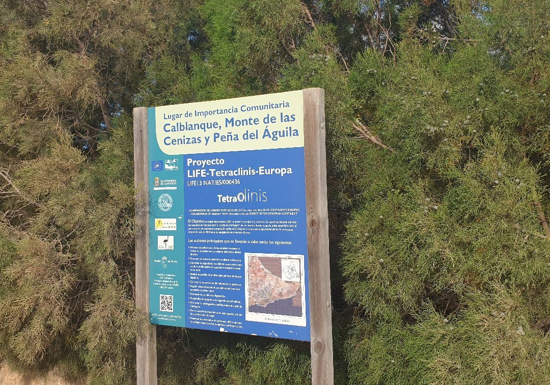 Centro de Visitantes Las Cobaticas