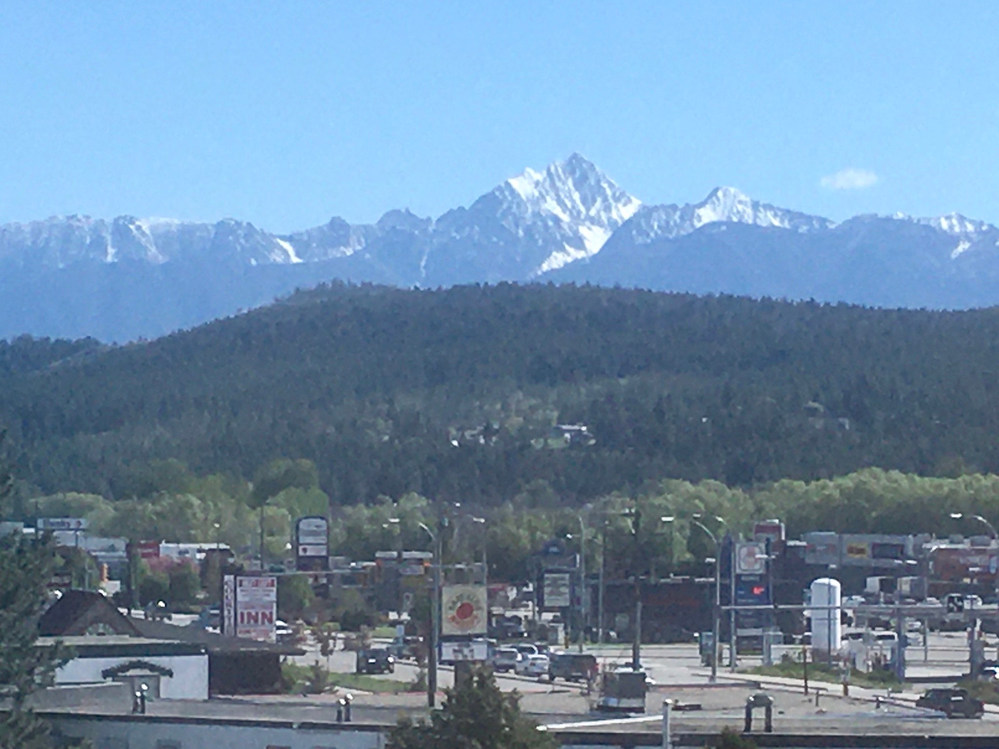 Prestige Cranbrook Hotel, BW Premier Collection-酒店景观