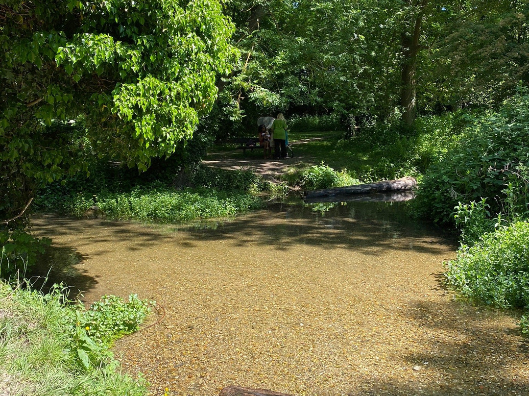 Ashwell Springs景点图片
