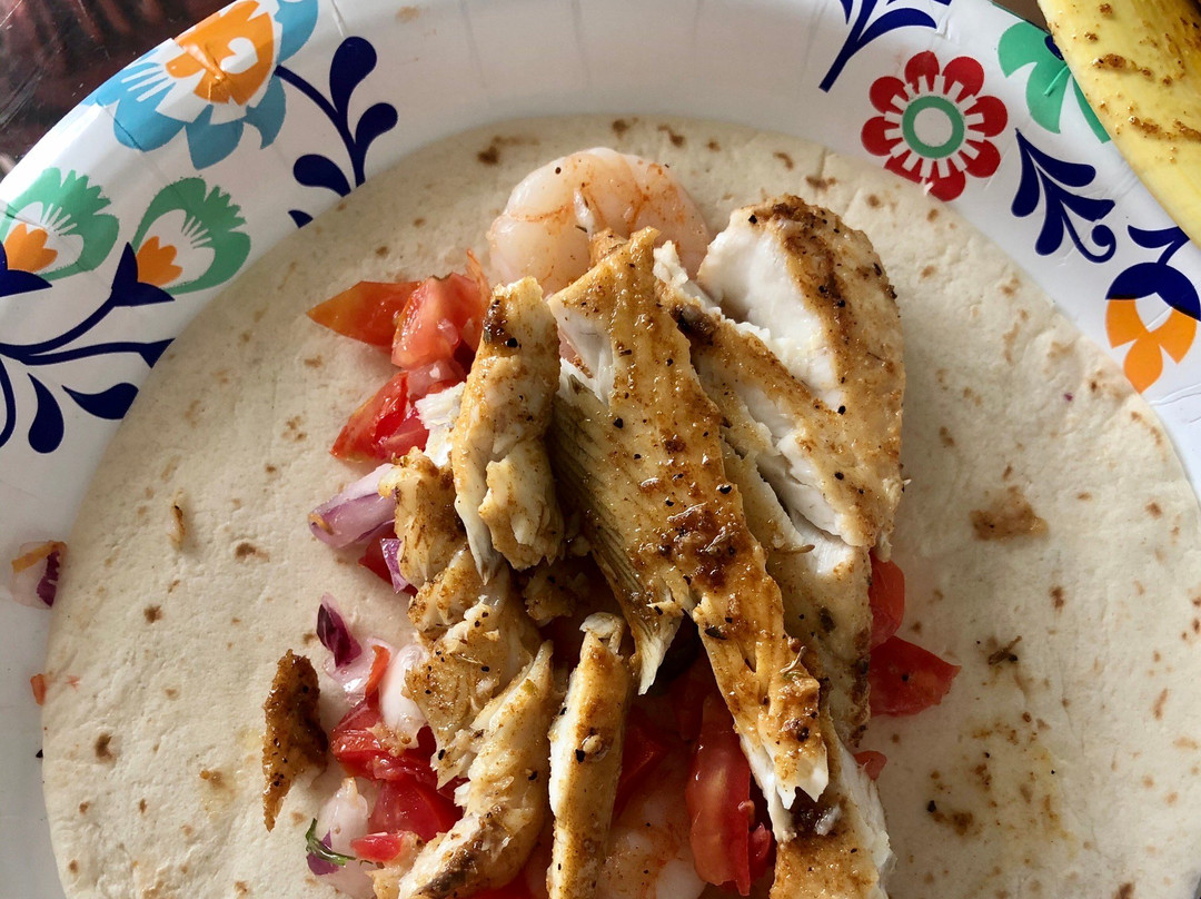 Nicole Fishing Charters-格尔夫海岸必去景点