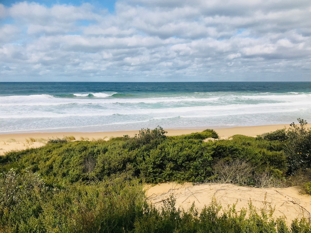 Stockyard Hill Surf Beach景点图片