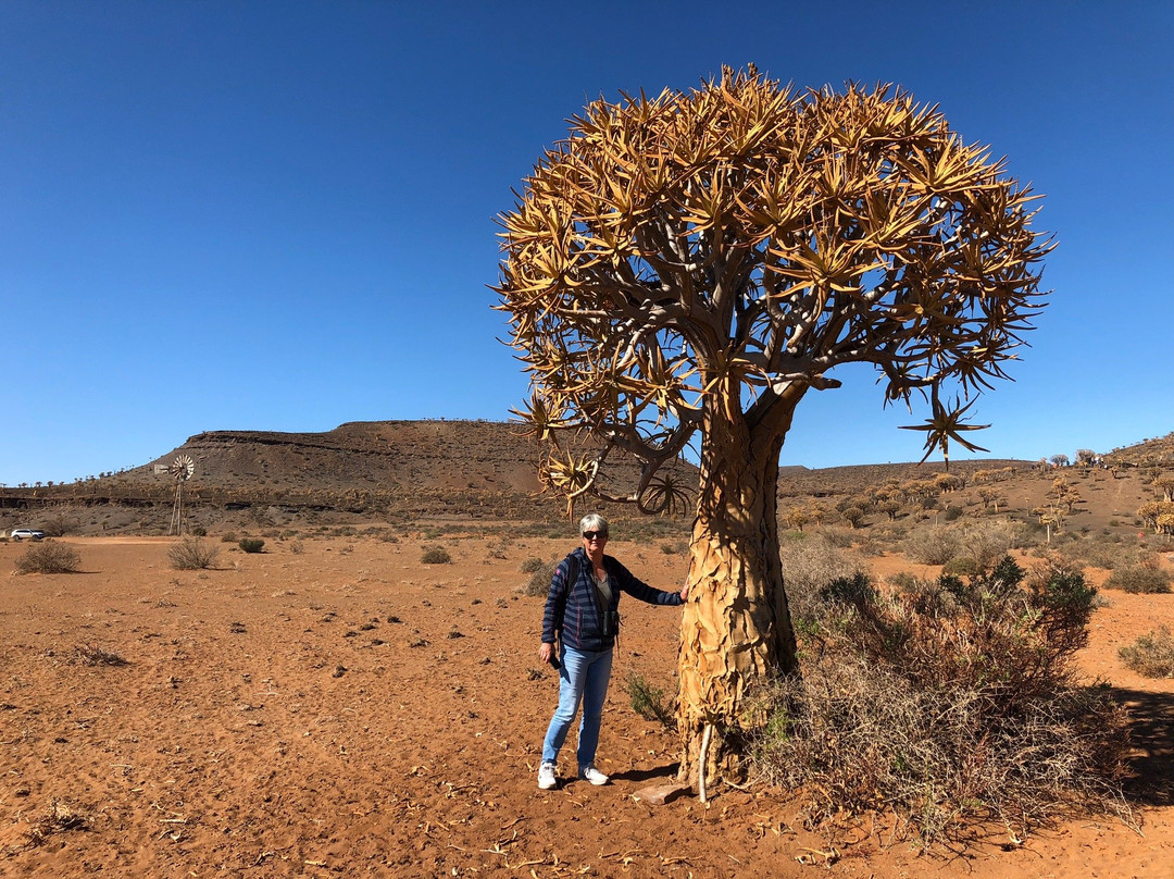 Quiver Tree Forest-Nieuwoudtville必去景点