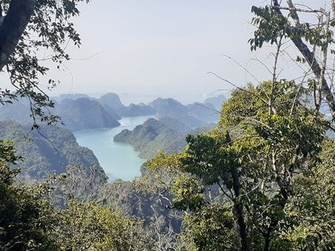 自然细语洋房及度假酒店主图