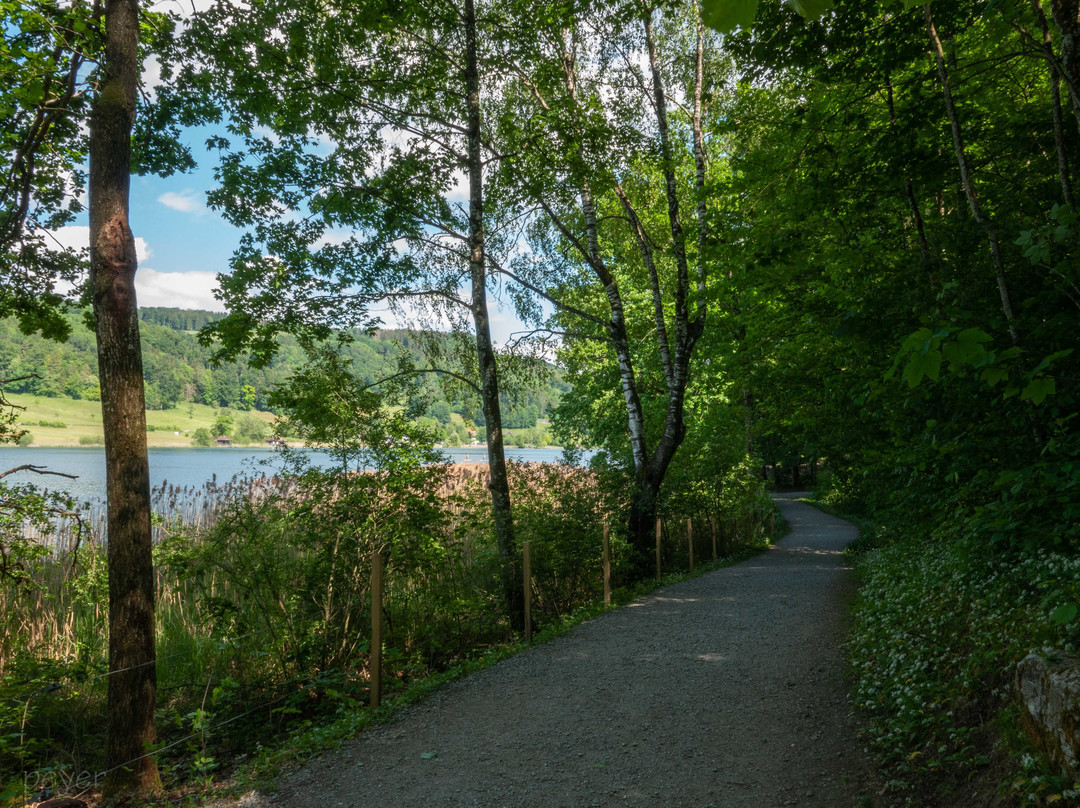 Turlersee-Hausen am Albis必去景点