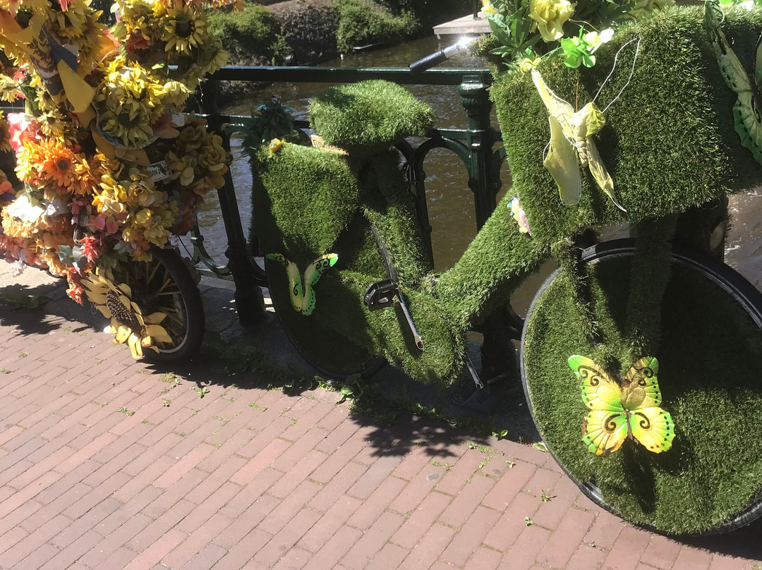 Amsterdam En Bicicleta-阿姆斯特丹必去景点