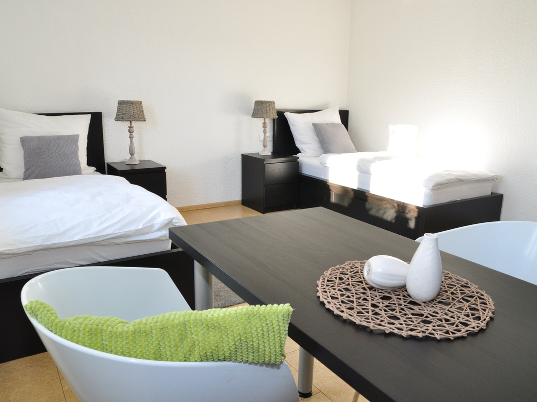 Aldingen旅游攻略图片