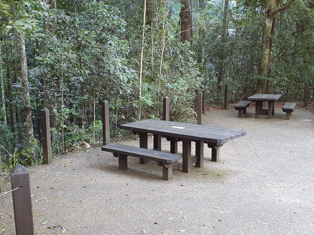 Cougal Cascades-可伦宾必去景点